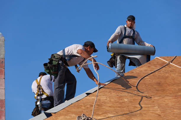 Trusted Fishhook, AK Roofing Contractor Experts