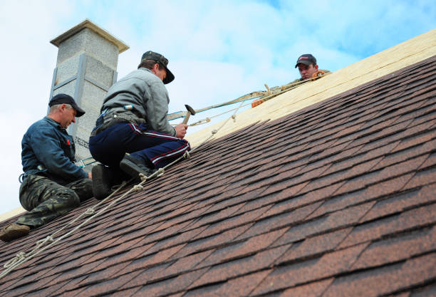 Gutter Installation and Roofing in Fishhook, AK